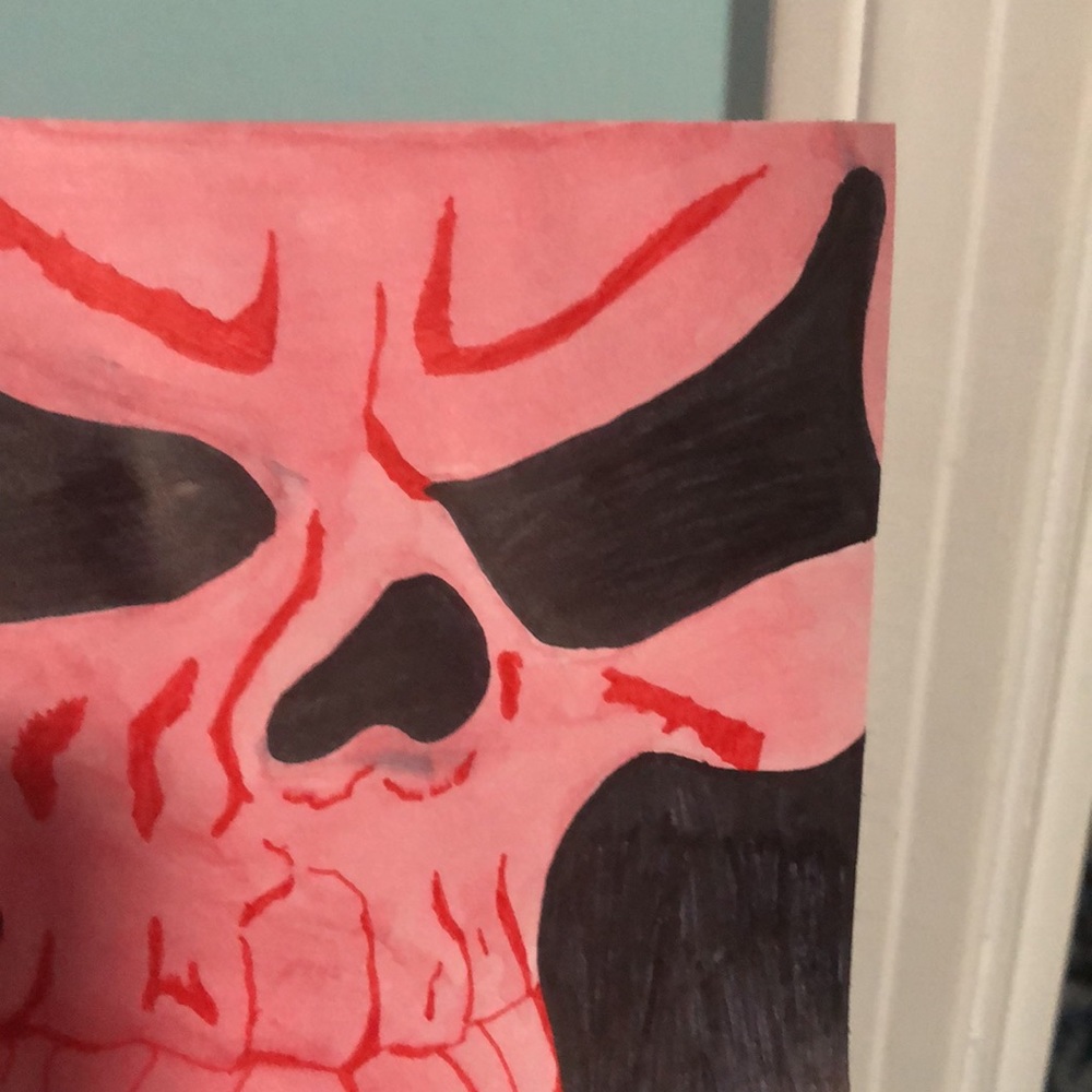 Pink/Red Skull Drawing - Picture 4 of 5